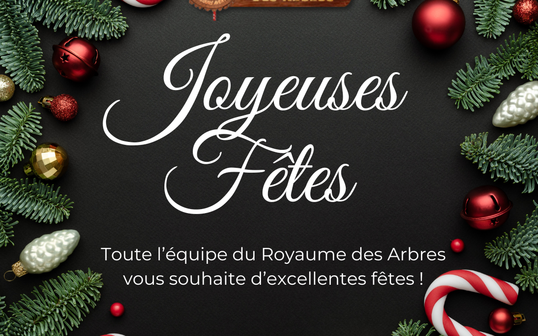 Joyeuses fêtes ! 🎄✨