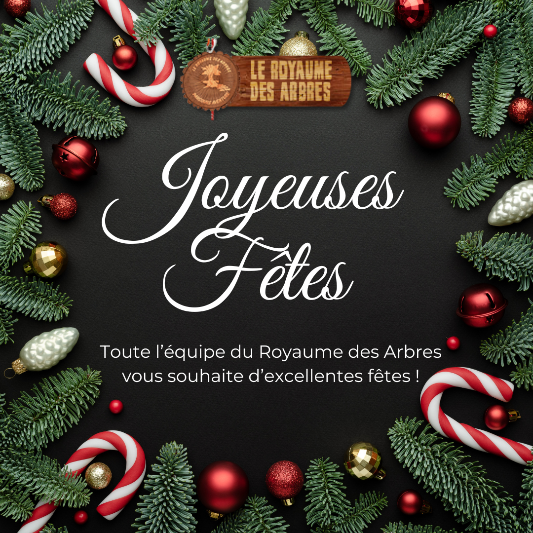 Joyeuses fêtes ! 🎄✨