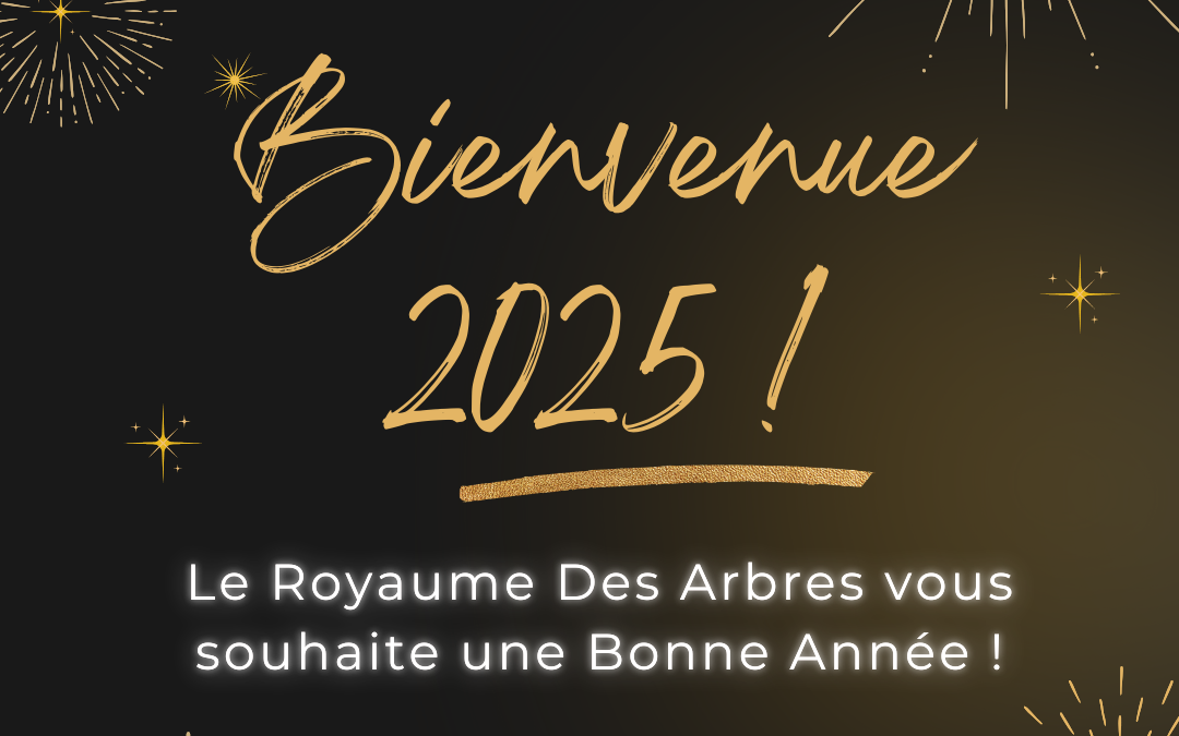 Bonne année 2025 ! ✨