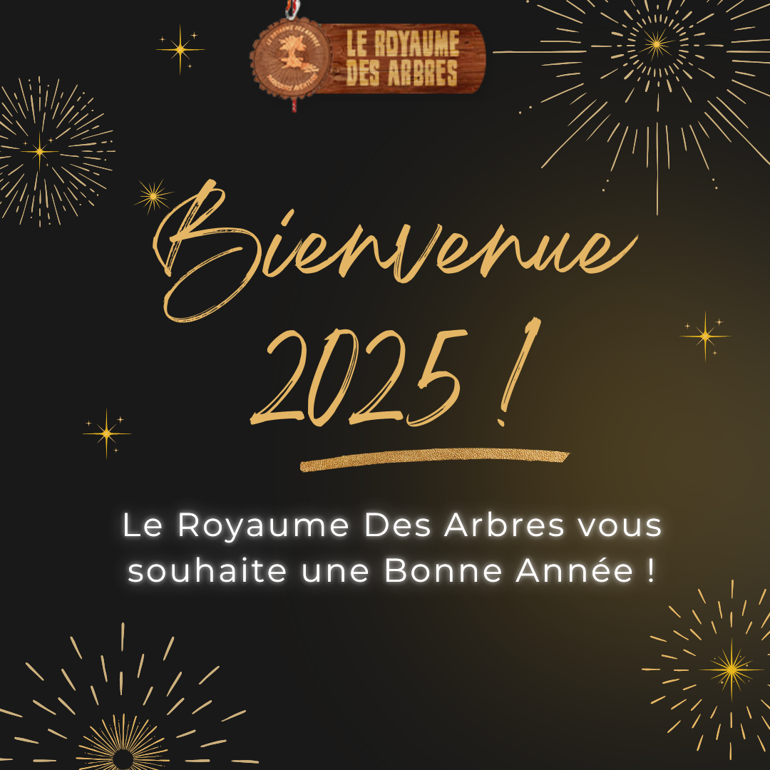 Bonne année 2025 ! ✨