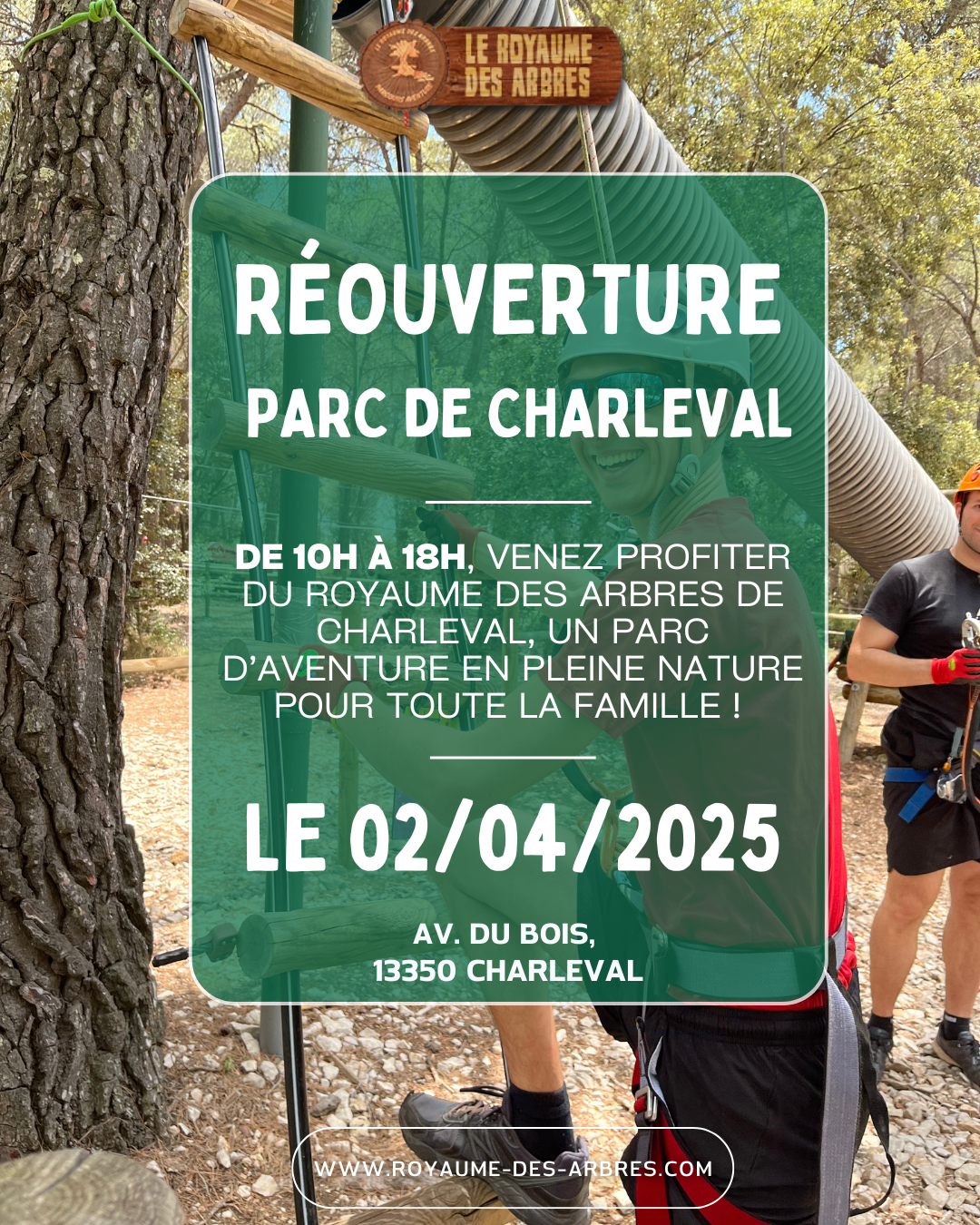 🌳✨ Réouverture du Royaume des Arbres – Charleval ! ✨🌳