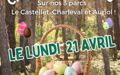 Chasse aux oeufs Lundi 21 avril ! 🍫🥚